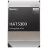 Synology HAT5300 4TB