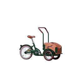 PEGAS MINI CARGO 1S VERDE SMARALD