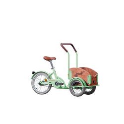 PEGAS MINI CARGO 1S VERDE FISTIC