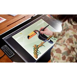 Tableta grafica Wacom Cintiq Pro 24" DTH-2420, conectare prin cablu USB, 5080 lpi, 522 x 294 milimetri, USB, Stilou, Tactil, 59,9 cm (23.6")