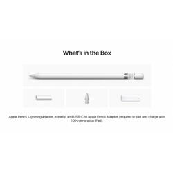 Apple Pencil (1stGeneration) with Lightning Adapter for Ipad Pro 12.9"(1&2 gen)/ Pro (9.5"&10.5")/ Air3/ Pad (10&9&8&7&6)/ mini5