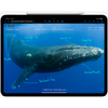 Apple 13-inch iPad Pro (M4) WiFi 1TB with Standard glass - Silver